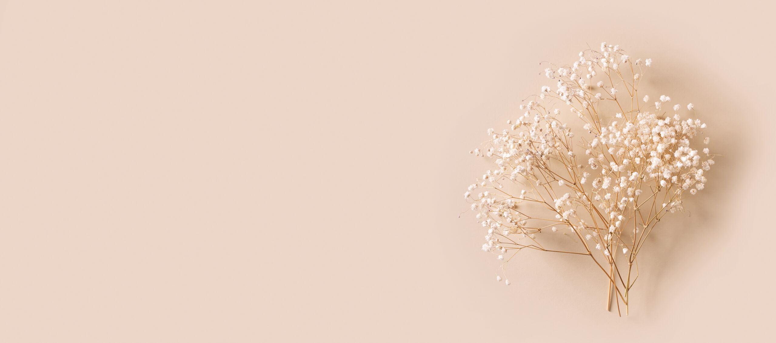 Helle Schleierblumen als ruhiges Sinnbild für kleine, stimmige Schritte
