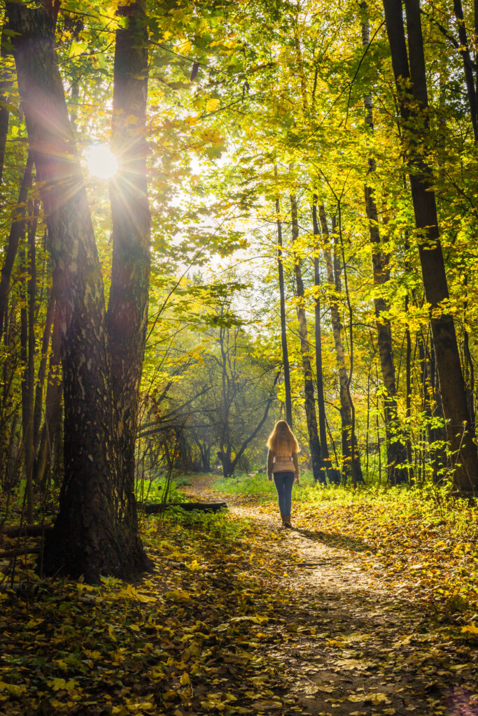 Eine Frau geht auf einem hellen Weg durch einen herbstlichen Wald