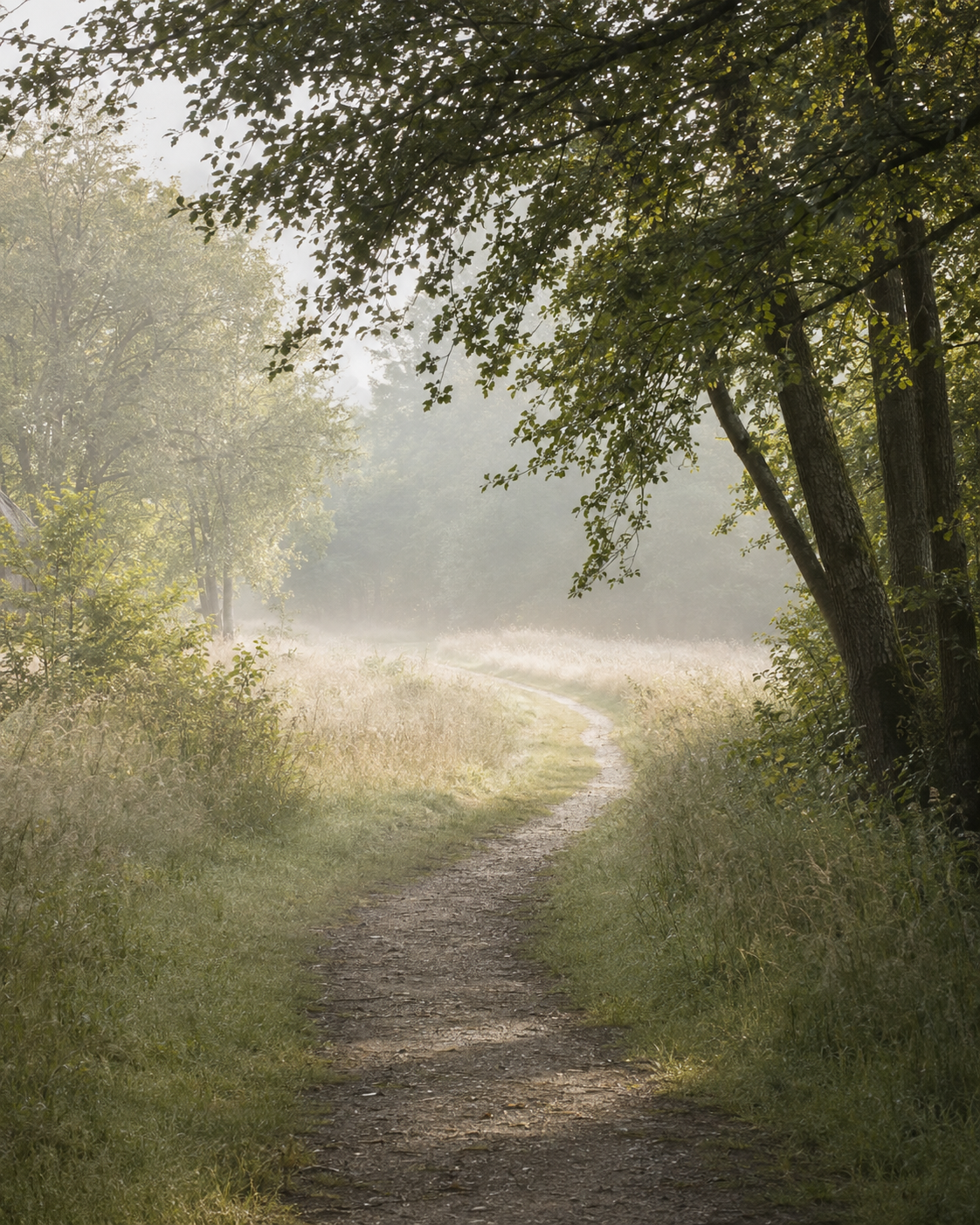 Geschwungener Weg durch eine ruhige Landschaft als Symbol für innere Orientierung und Balance